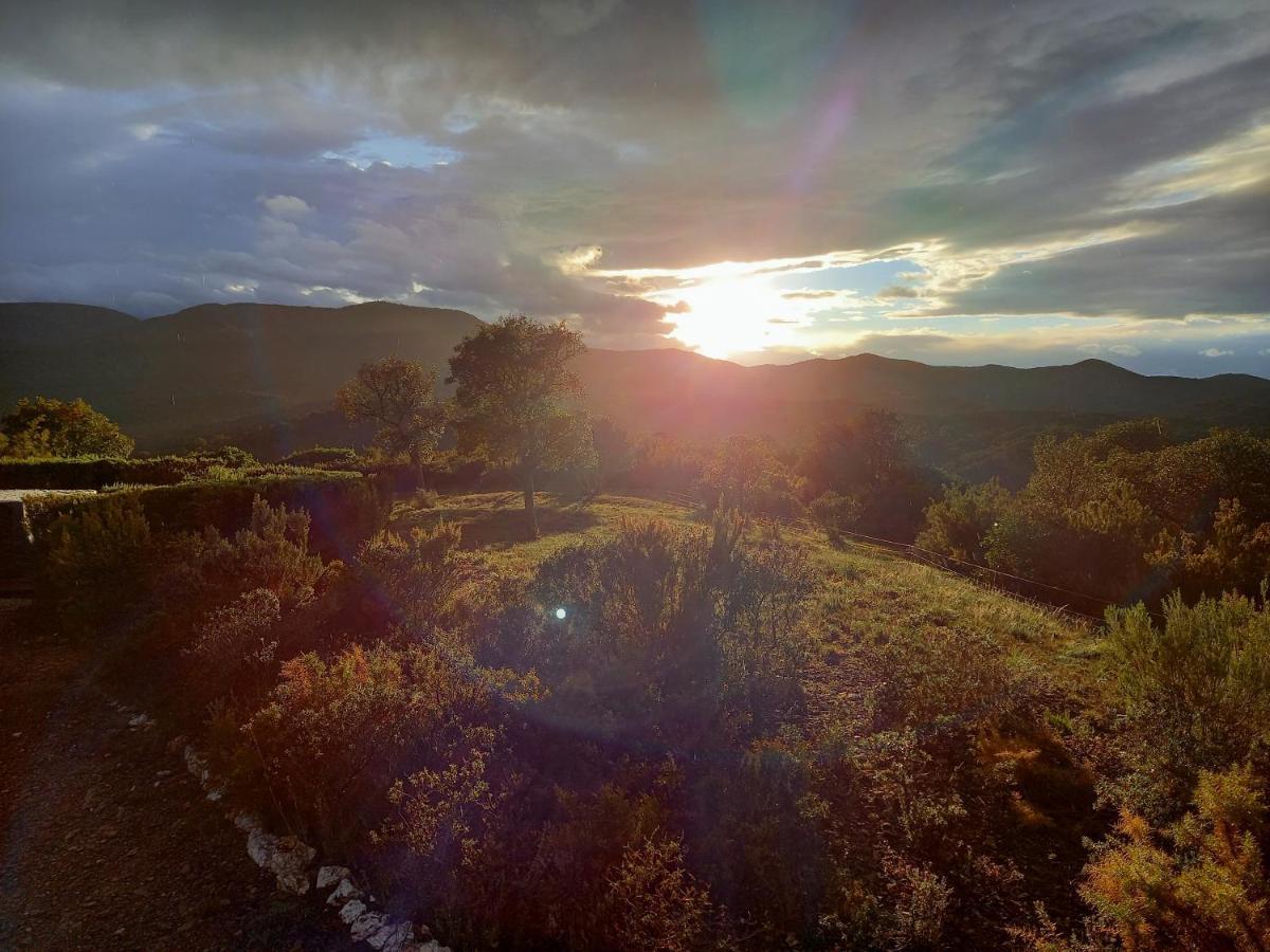 La Pantoufle Verte Montauriol Kültér fotó